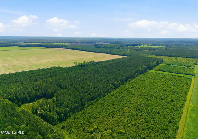 3rd image of 0 Spain Farm Rd, Stonewall, NC 28583 | MLS# 100586619