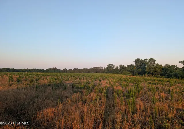 Homes for sale in Saint Pauls, NC | 768 Fisher Rd, Saint Pauls, NC 28384 | MLS# 100582935