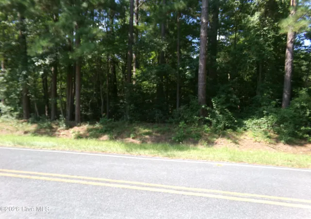 1st image of 0 1701 State Rd, Clarkton, NC 28433 | MLS# 100593715
