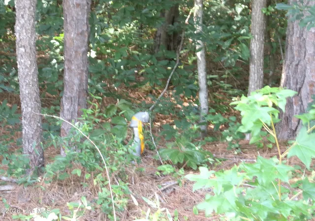 2nd image of 0 1701 State Rd, Clarkton, NC 28433 | MLS# 100593715