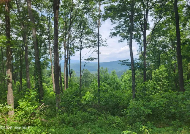 Homes for sale in Murphy, NC | Lot 81 Scenic Mountain Wy, Murphy, NC 28906 | MLS# 100588246