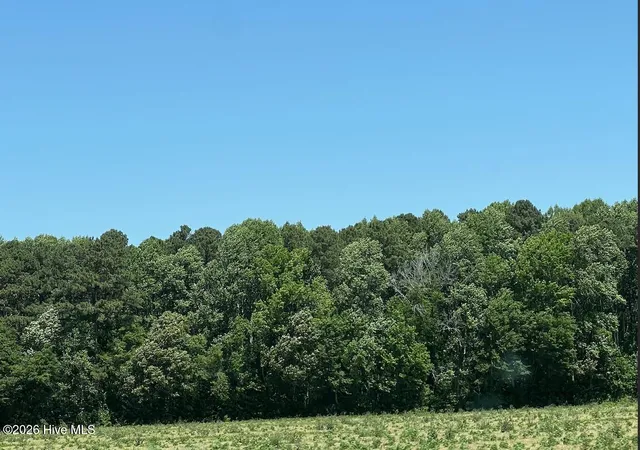 Photo 5 of Land for sale at Tbd Highway S, Camden, NC 27921 | MLS# 100575464 | Listing updated on 2026-08-18