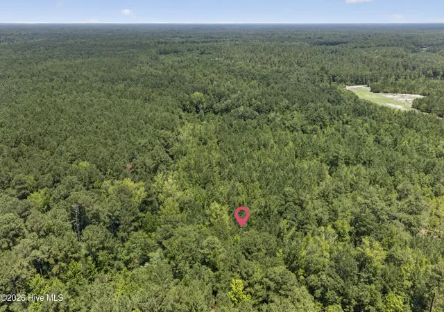 Photo 2 of Land for sale at 540 Copperhead Ln, Burgaw, NC 28425 | MLS# 100590708 | Listing updated on 2026-07-22