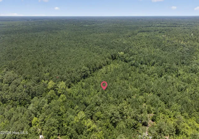 Photo 3 of Land for sale at 540 Copperhead Ln, Burgaw, NC 28425 | MLS# 100590708 | Listing updated on 2026-07-22