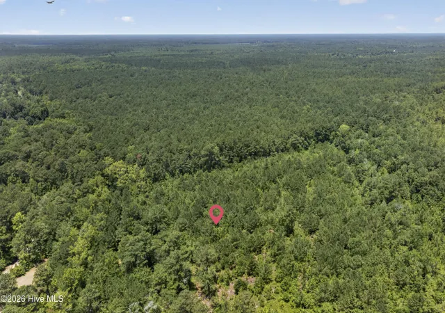 Photo 3 of Land for sale at 540 Copperhead Ln, Burgaw, NC 28425 | MLS# 100590708 | Listing updated on 2026-07-22
