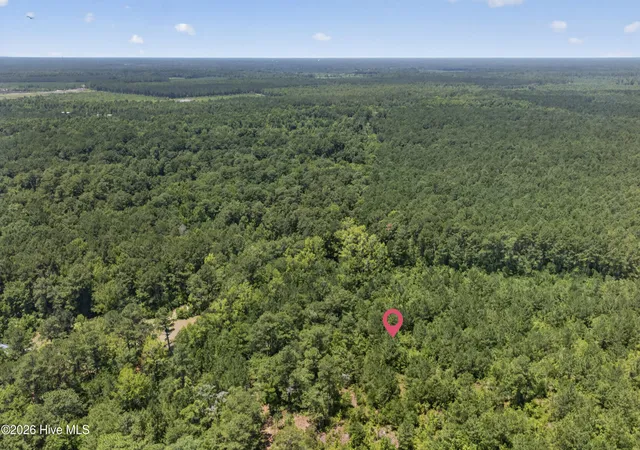 Photo 4 of Land for sale at 540 Copperhead Ln, Burgaw, NC 28425 | MLS# 100590708 | Listing updated on 2026-07-22
