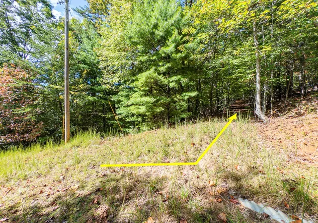 Photo 5 of Land for sale at 0 Wolf Print, Murphy, NC 28906 | MLS# 98544044 | Listing updated on 2026-06-01