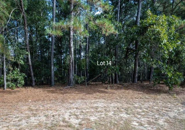Photo 3 of Land for sale at 14 Old Tom Morris Rd, Garland, NC 28441 | MLS# 100535918 | Listing updated on 2026-05-05