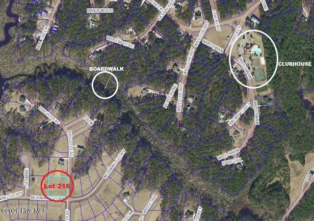 Photo 3 of Land for sale at 91 N Brightleaf Dr, Arapahoe, NC 28510 | MLS# 100557748 | Listing updated on 2026-03-03