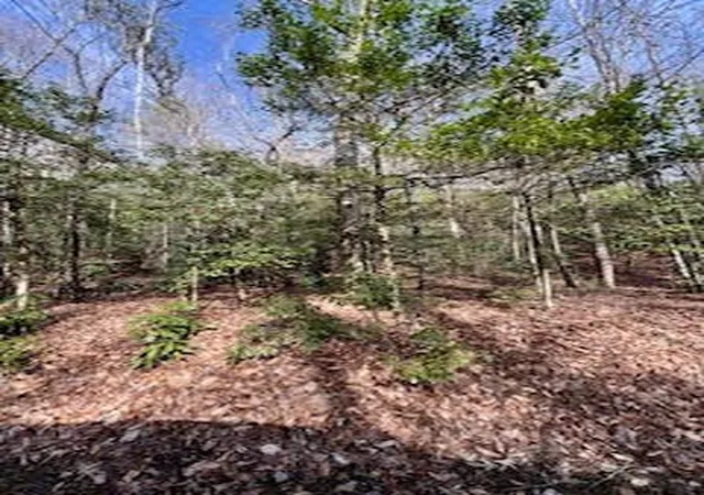 Homes for sale in Andrews, NC | Lot 2 Morris Creek Rd, Andrews, NC 28901 | MLS# 98500235
