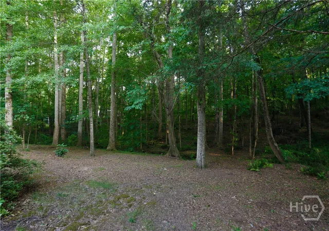 Homes for sale in Statham, GA | 1251 Dials Plantation, Statham, GA 30666 | MLS# CL358544