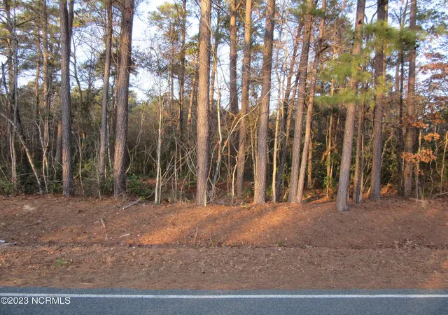 Homes for sale in Clarkton, NC | Near 484 John Spaulding Rd, Clarkton, NC 28433 | MLS# 100582064