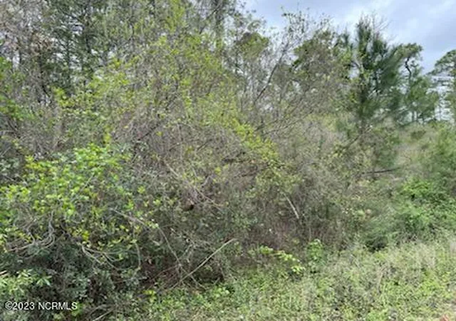 Photo 1 of Land for sale at 7588 Plantation Rd, Wilmington, NC 28411 | MLS# 100377552 | Listing updated on 2026-03-31