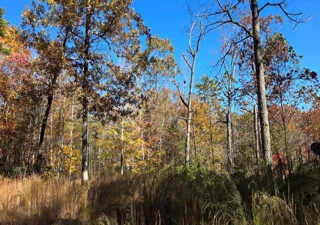 Photo 3 of Land for sale at 62 Green Cove Spur, Murphy, NC 28906 | MLS# 98539759 | Listing updated on 2026-08-04