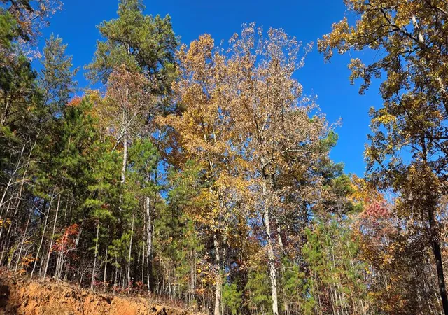 Photo 3 of Land for sale at 62 Green Cove Spur, Murphy, NC 28906 | MLS# 98539759 | Listing updated on 2026-08-04