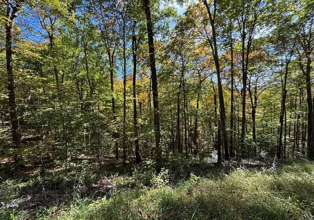 Homes for sale in Topton, NC | 2 Lots Holly Ridge Rd, Topton, NC 28781 | MLS# 98543855