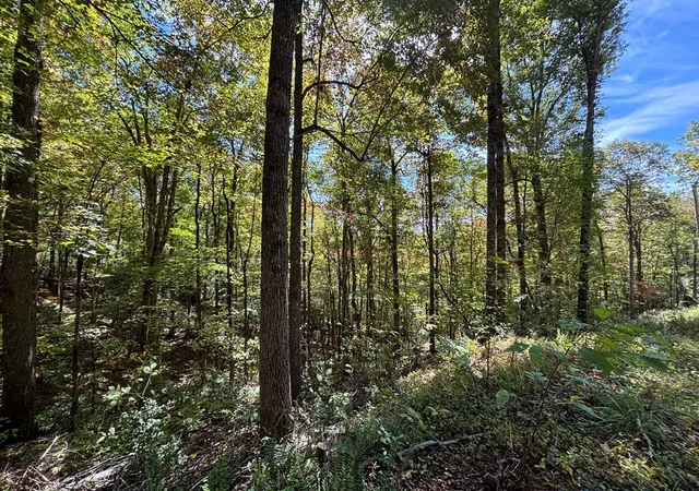 Homes for sale in Topton, NC | 2 Lots Holly Ridge Rd, Topton, NC 28781 | MLS# 98543855