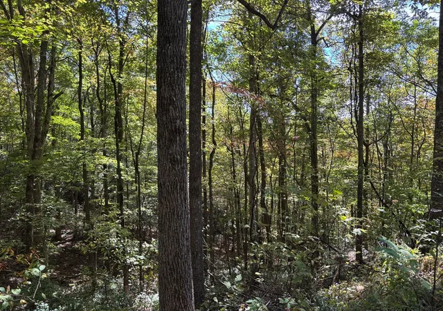 Homes for sale in Topton, NC | 2 Lots Holly Ridge Rd, Topton, NC 28781 | MLS# 98543855