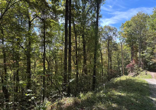 Homes for sale in Topton, NC | 2 Lots Holly Ridge Rd, Topton, NC 28781 | MLS# 98543855