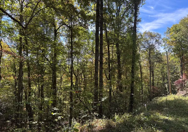 Homes for sale in Topton, NC | 2 Lots Holly Ridge Rd, Topton, NC 28781 | MLS# 98543855