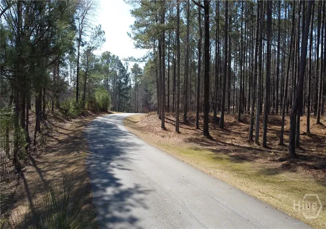 Homes for sale in Greensboro, GA | 1041 Shadow Creek Wy, Greensboro, GA 30642 | MLS# CL358390