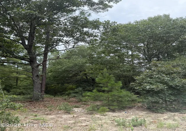 Photo 2 of Land for sale at 406 Douglas Dr, Beech Island, SC 29842 | MLS# 100591466 | Listing updated on 2026-08-18