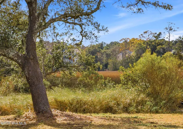 Photo 3 of Land for sale at 1408 Marsh Cvs Ln, Wilmington, NC 28409 | MLS# 100587316 | Listing updated on 2026-08-28