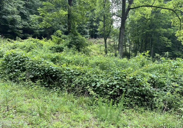Photo 3 of Land for sale at Lots 28/29 Bates Crk Rd, Murphy, NC 28906 | MLS# 100589143 | Listing updated on 2026-08-18
