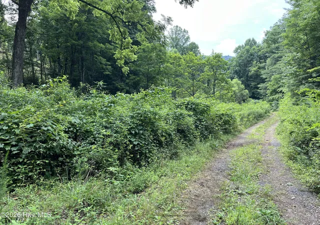 Photo 3 of Land for sale at Lots 28/29 Bates Crk Rd, Murphy, NC 28906 | MLS# 100589143 | Listing updated on 2026-08-18