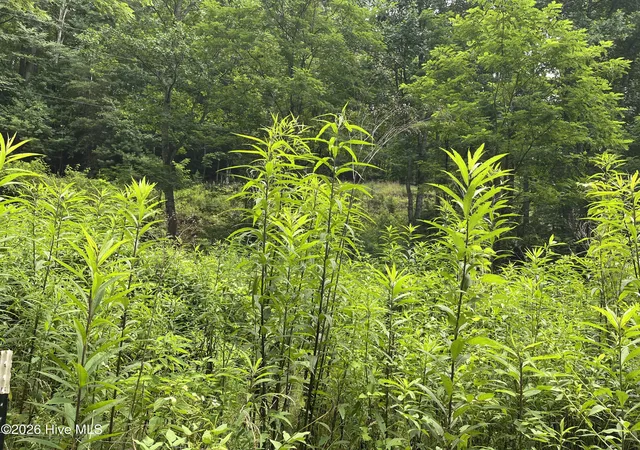 Photo 4 of Land for sale at Lots 28/29 Bates Crk Rd, Murphy, NC 28906 | MLS# 100589143 | Listing updated on 2026-08-18