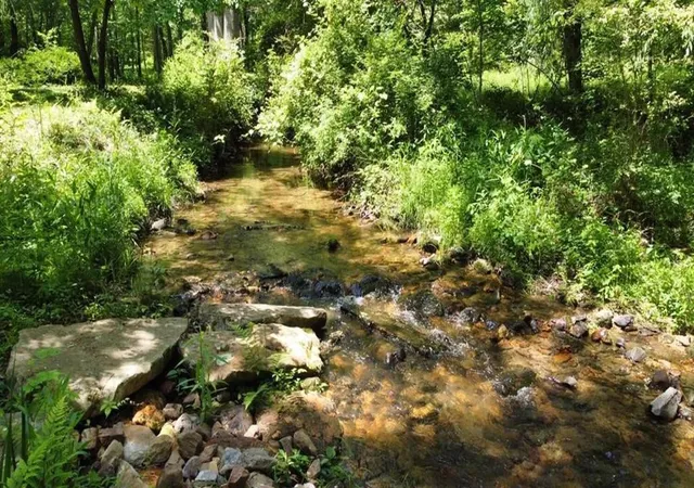 1st image of Tract 1 Timber Ridge Rd, Blairsville, GA 30512 | MLS# 98525069