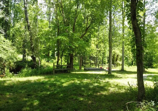 4th image of Tract 1 Timber Ridge Rd, Blairsville, GA 30512 | MLS# 98525069