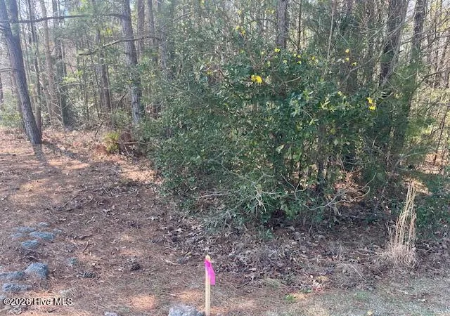 Photo 3 of Land for sale at 1894 Sunset Cvs Dr Se, Bolivia, NC 28422 | MLS# 100592612 | Listing updated on 2026-08-18