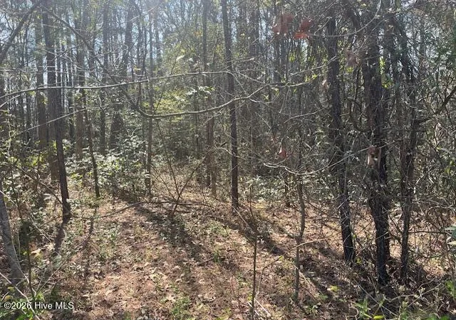 Photo 3 of Land for sale at 1894 Sunset Cvs Dr SE, Bolivia, NC 28422 | MLS# 100592612 | Listing updated on 2026-08-18