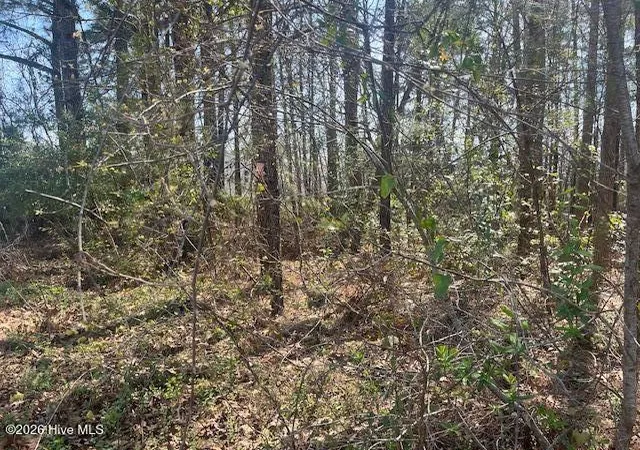 Photo 4 of Land for sale at 1894 Sunset Cvs Dr SE, Bolivia, NC 28422 | MLS# 100592612 | Listing updated on 2026-08-18