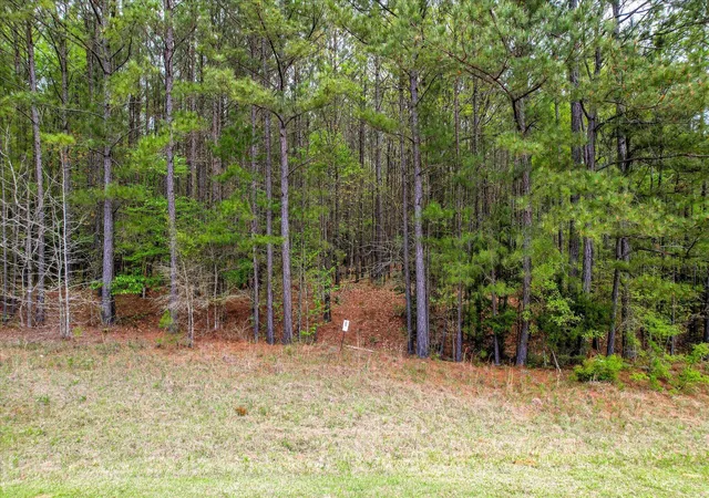 1st image of 1066 Clinton Williams Rd, Lincolnton, GA 30817 | MLS# 98255728