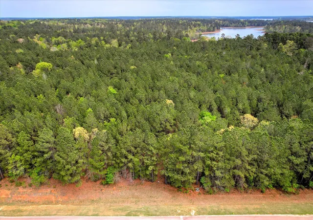 2nd image of 1066 Clinton Williams Rd, Lincolnton, GA 30817 | MLS# 98255728