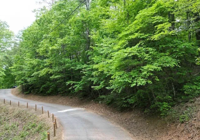 Photo 3 of Land for sale at Lot 13 Dogwood Trl, Robbinsville, NC 28771 | MLS# 98544664 | Listing updated on 2026-06-07
