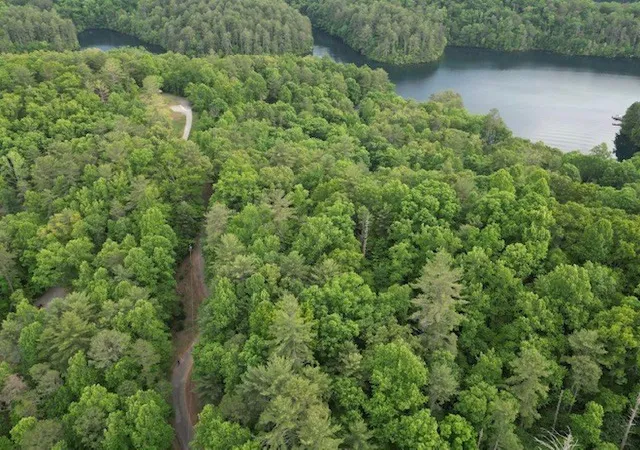 Photo 4 of Land for sale at Lot 13 Dogwood Trl, Robbinsville, NC 28771 | MLS# 98544664 | Listing updated on 2026-06-07