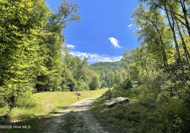 Homes for sale in Topton, NC | 575 Vestal Cochran Rd, Topton, NC 28781 | MLS# 100584678