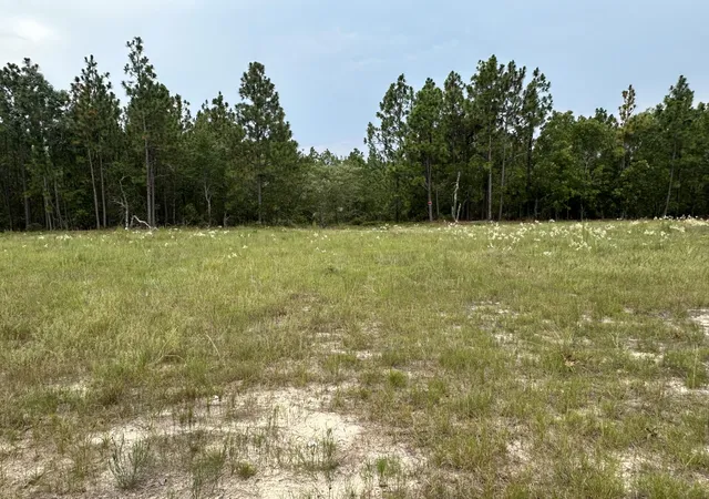 Homes for sale in Blythe, GA | 2070 Greenland Rd, Blythe, GA 30805 | MLS# 98224707