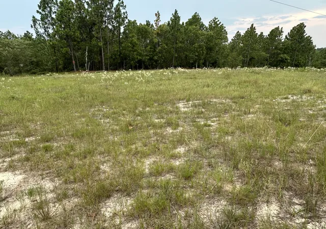 Photo 3 of Land for sale at 2070 Greenland Rd, Blythe, GA 30805 | MLS# 98224707 | Listing updated on 2026-08-18