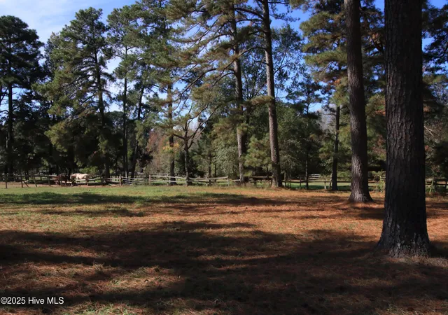 Photo 3 of Land for sale at 0 Cedar Ln Rd, Sanford, NC 27332 | MLS# 100537646 | Listing updated on 2026-03-02