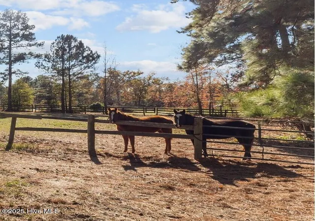 Photo 3 of Land for sale at 0 Cedar Ln Rd, Sanford, NC 27332 | MLS# 100537646 | Listing updated on 2026-03-02