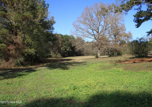 Photo 4 of Land for sale at 0 Cedar Ln Rd, Sanford, NC 27332 | MLS# 100537646 | Listing updated on 2026-03-02