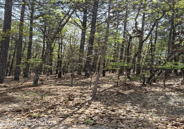 1st image of 4 Brassie Ln, Jackson Springs, NC 27281 | MLS# 100569268