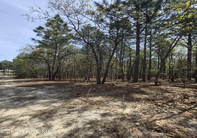 3rd image of 4 Brassie Ln, Jackson Springs, NC 27281 | MLS# 100569268