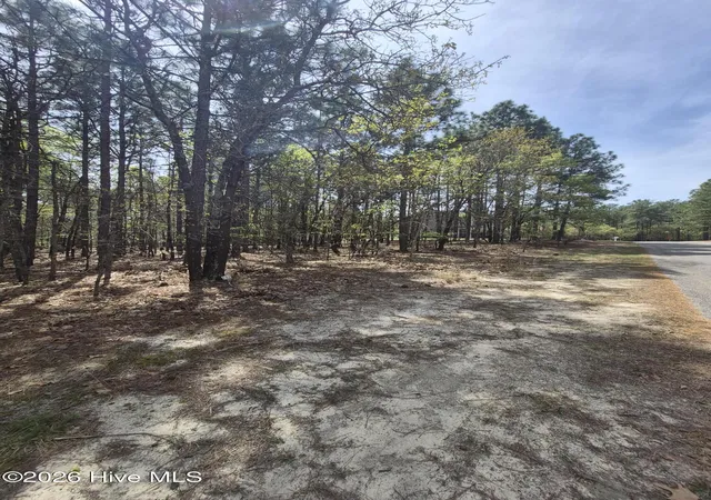 4th image of 4 Brassie Ln, Jackson Springs, NC 27281 | MLS# 100569268