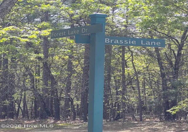 5th image of 4 Brassie Ln, Jackson Springs, NC 27281 | MLS# 100569268