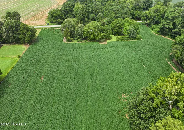 3rd image of 175 Union Hall Rd, Hertford, NC 27944 | MLS# 100523096